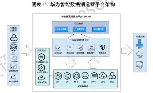 中國數據湖產品重點廠商全景掃描 賦能大數據服務新生態